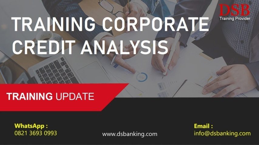 TRAINING CORPORATE CREDIT ANALYSIS