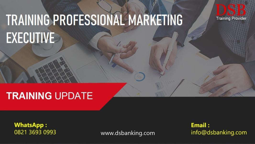 TRAINING PROFESSIONAL MARKETING EXECUTIVE