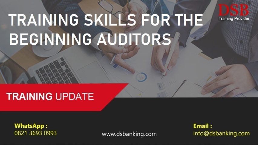 TRAINING SKILLS FOR THE BEGINNING AUDITORS