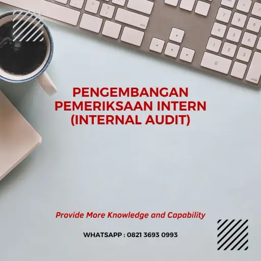 pelatihan pengembangan pemeriksaan intern profesional